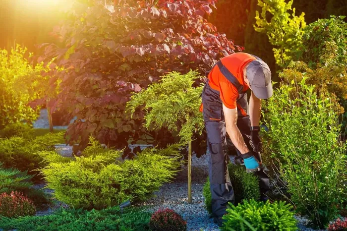 Landscaping Contractor in Grand Prairie, TX