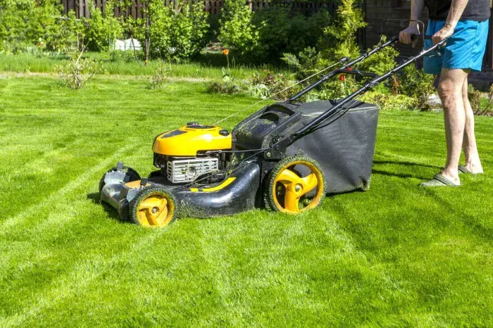 Lawn Maintenance Service Lawn Maintenance Service