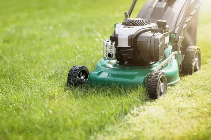 Rodolfo LLC Lawn Service's Other Services Rodolfo LLC Lawn Service's Other Services
